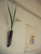 f:id:TeramotoM:20170301081554j:image:small