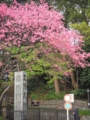 f:id:TeramotoM:20170415161317j:image:medium