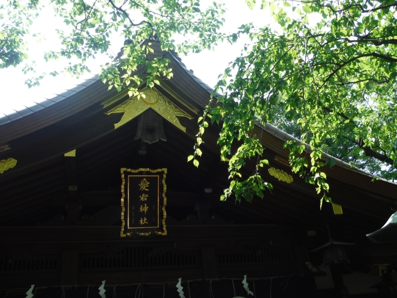 f:id:TeramotoM:20170623133945j:image:w360 f:id:TeramotoM:20170623133945j:image:w360