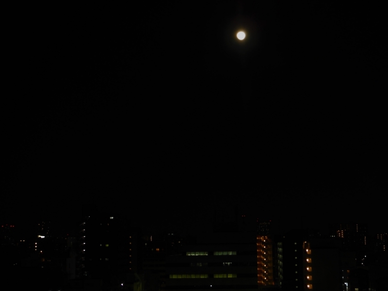 f:id:TeramotoM:20180301183151j:image:w360 f:id:TeramotoM:20180301183151j:image:w360