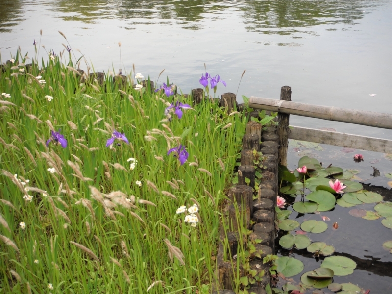 f:id:TeramotoM:20180430152650j:image:w360