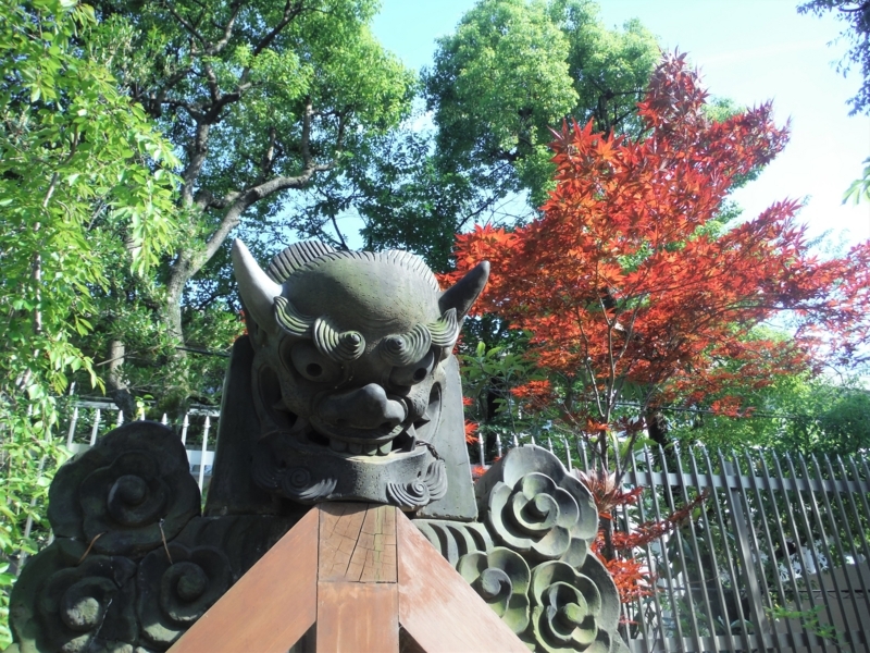 f:id:TeramotoM:20180603154537j:image:w360
