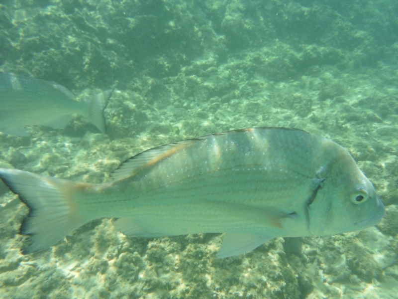 f:id:TeramotoM:20180715110613j:image:w360