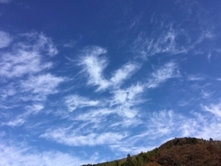 f:id:TeramotoM:20181113092049j:image:w360