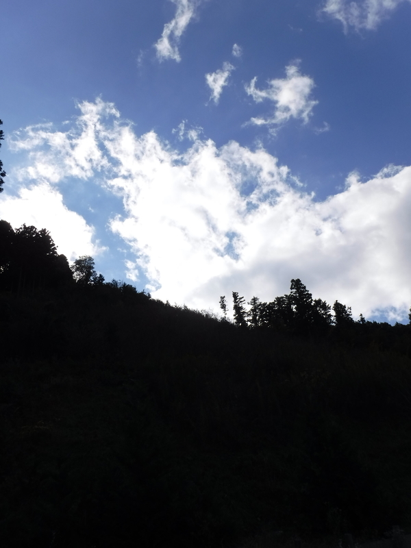 f:id:TeramotoM:20181113122441j:image:w360