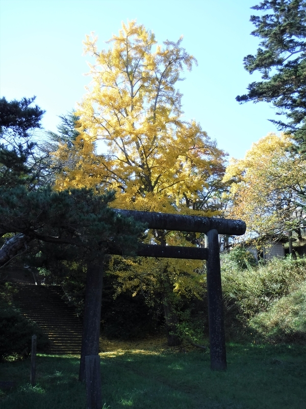 f:id:TeramotoM:20181114101338j:image:w360