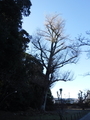 f:id:TeramotoM:20181230105908j:plain f:id:TeramotoM:20181230105908j:plain
