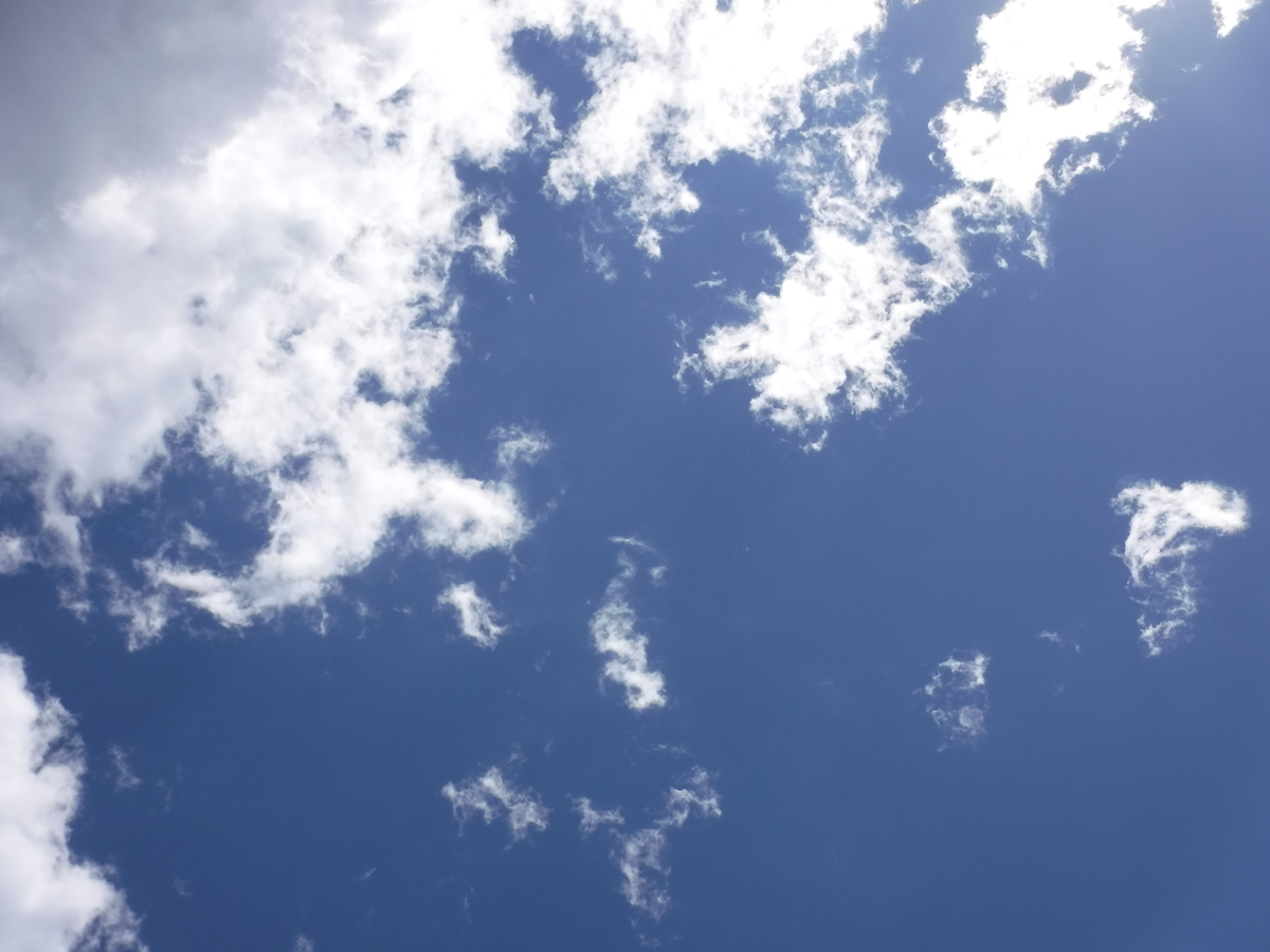 f:id:TeramotoM:20190616133320j:plain f:id:TeramotoM:20190616133320j:plain
