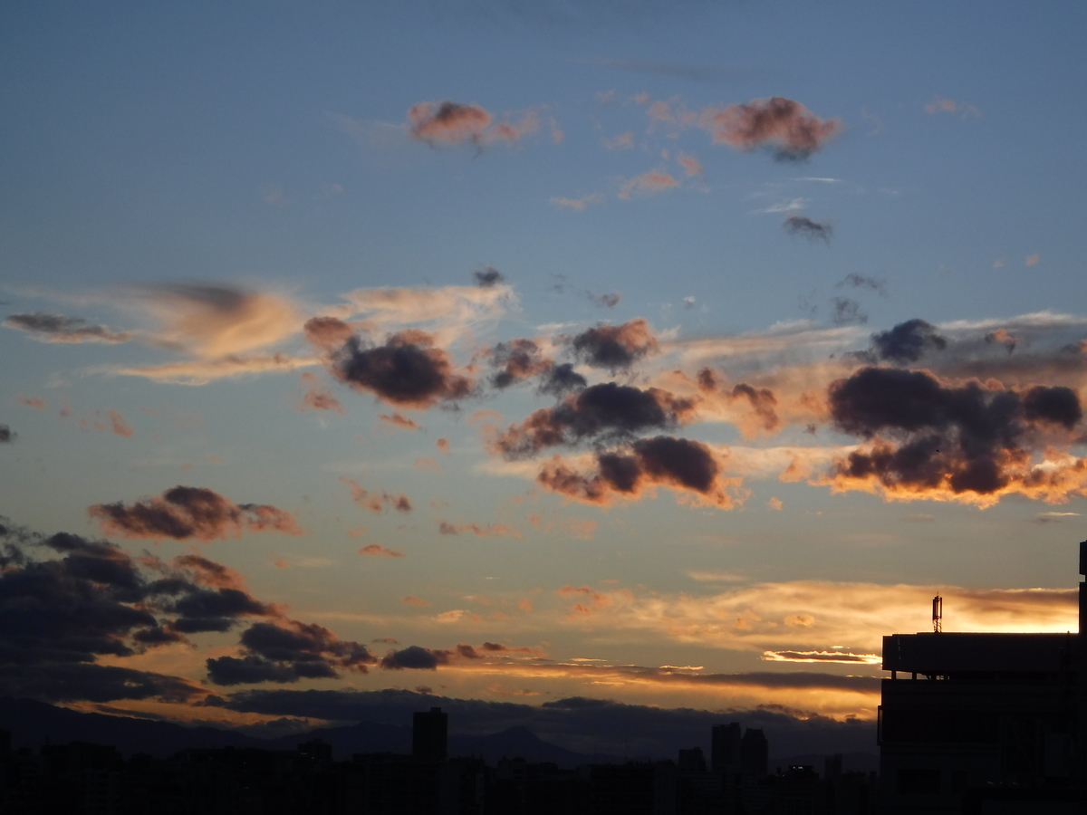 f:id:TeramotoM:20190616185641j:plain