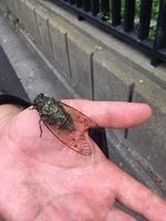 f:id:TeramotoM:20190822112520j:plain