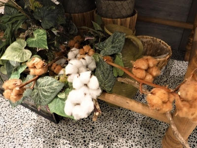 f:id:TeramotoM:20191116113837j:plain f:id:TeramotoM:20191116113837j:plain