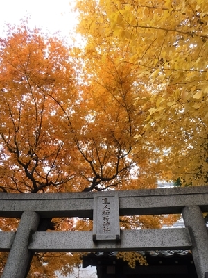 f:id:TeramotoM:20191211105351j:plain f:id:TeramotoM:20191211105351j:plain