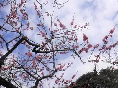 f:id:TeramotoM:20200315113541j:plain f:id:TeramotoM:20200315113541j:plain