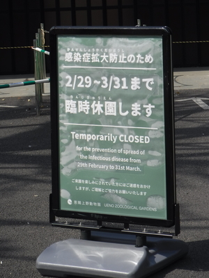 f:id:TeramotoM:20200322105120j:plain