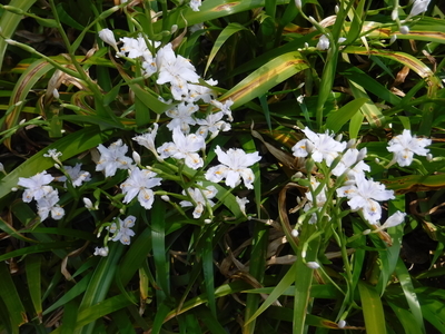 f:id:TeramotoM:20200322114228j:plain