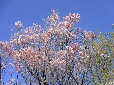 f:id:TeramotoM:20200324153044j:plain