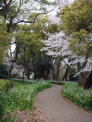 f:id:TeramotoM:20200328061833j:plain