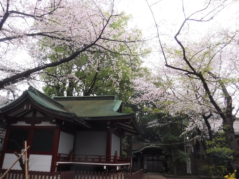 f:id:TeramotoM:20200401061615j:plain f:id:TeramotoM:20200401061615j:plain