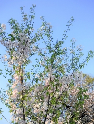 f:id:TeramotoM:20200404163954j:plain
