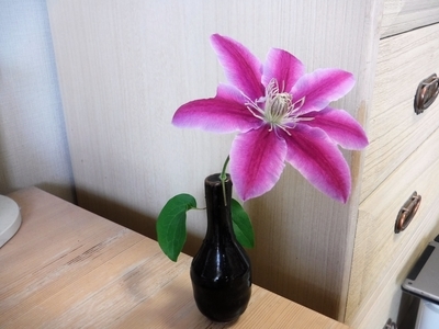 f:id:TeramotoM:20200416121936j:plain