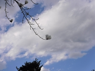 f:id:TeramotoM:20200426155929j:plain f:id:TeramotoM:20200426155929j:plain