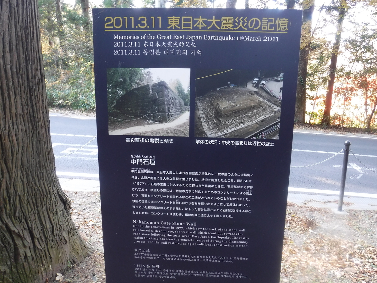 f:id:TeramotoM:20201117141316j:plain