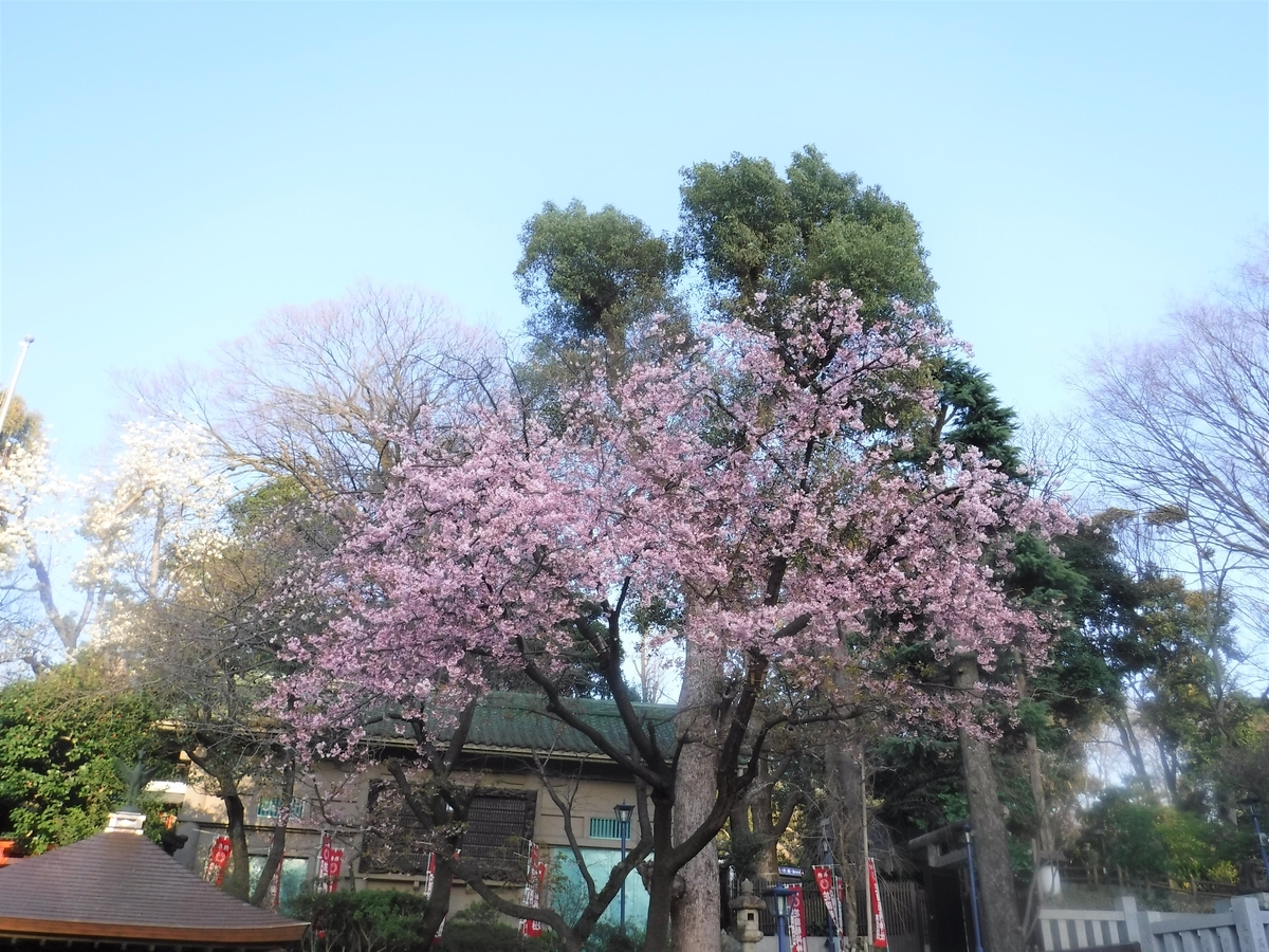 f:id:TeramotoM:20210311164633j:plain