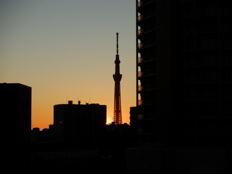 f:id:TeramotoM:20220101065544j:plain
