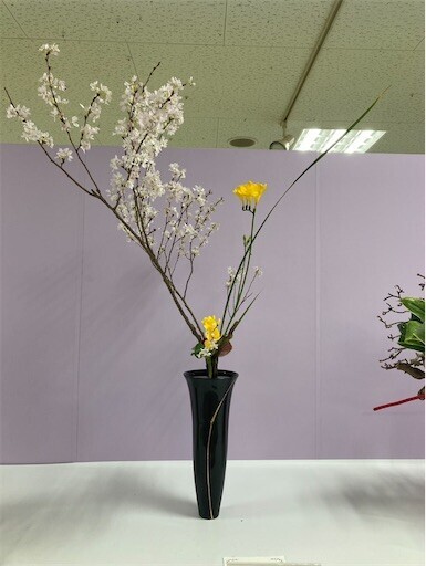 f:id:Teresa:20260412142745j:image
