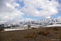 [北海道][大雪山][十勝岳連峰]早春の十勝岳連峰