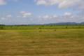 [北海道]或る道北の牧場風景