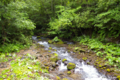 [北海道]オコタンの渓流