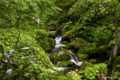 [北海道]美笛川