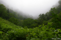 [北海道]「幽玄の世界」