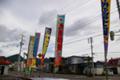 [北海道]福島町の力士のぼり