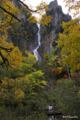 [北海道][大雪山]"紅葉の合間の銀河"