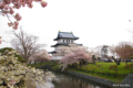 [北海道][松前][桜]桜彩る松前城 I