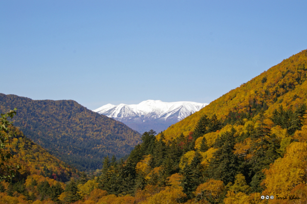 紅葉の向こう