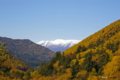 [北海道][大雪山]紅葉の向こう