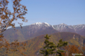 [北海道][大雪山]冠雪のニセイカウシュッペ山