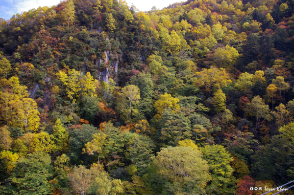 層雲峡の紅葉