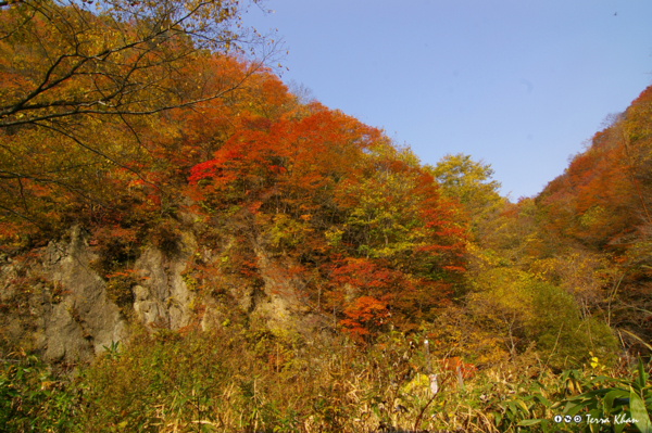 f:id:Terra-Khan:20081019101227j:image