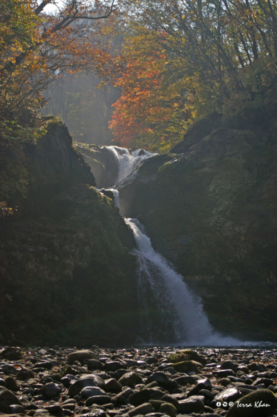 f:id:Terra-Khan:20081019105545j:image