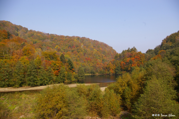 f:id:Terra-Khan:20081019110828j:image