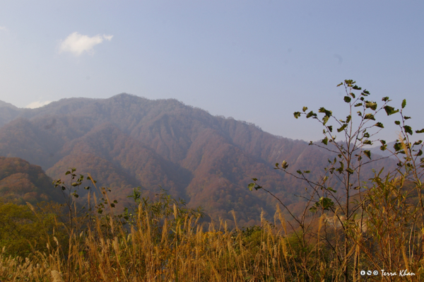 f:id:Terra-Khan:20081019134057j:image