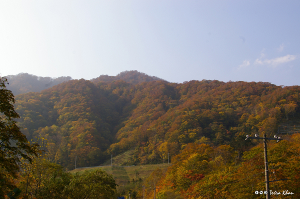 f:id:Terra-Khan:20081019134437j:image