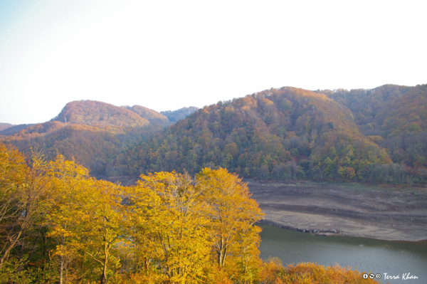 f:id:Terra-Khan:20081019160425j:image