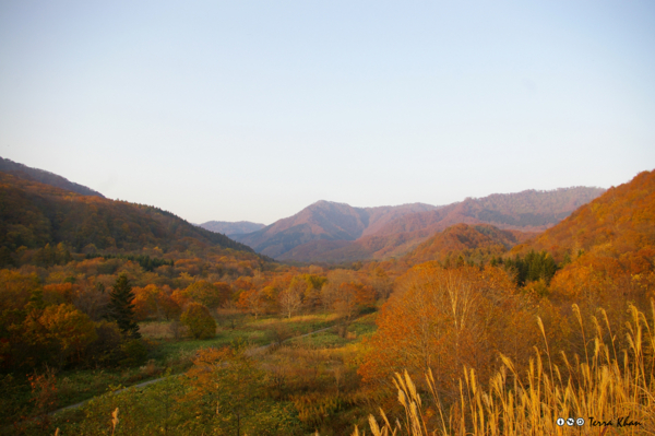 f:id:Terra-Khan:20081019161302j:image