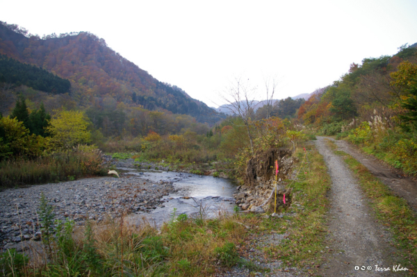 f:id:Terra-Khan:20081019162325j:image