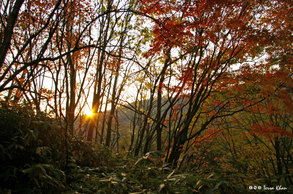 f:id:Terra-Khan:20081019162715j:image
